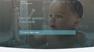 Custom Landing Page 3