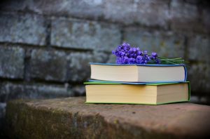 bench blur books color 459791 1024x675 1