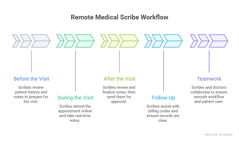 What Does a Remote Medical Scribe Do? A Comprehensive Guide 2 Typical Workflow of a Remote Medical Scribe