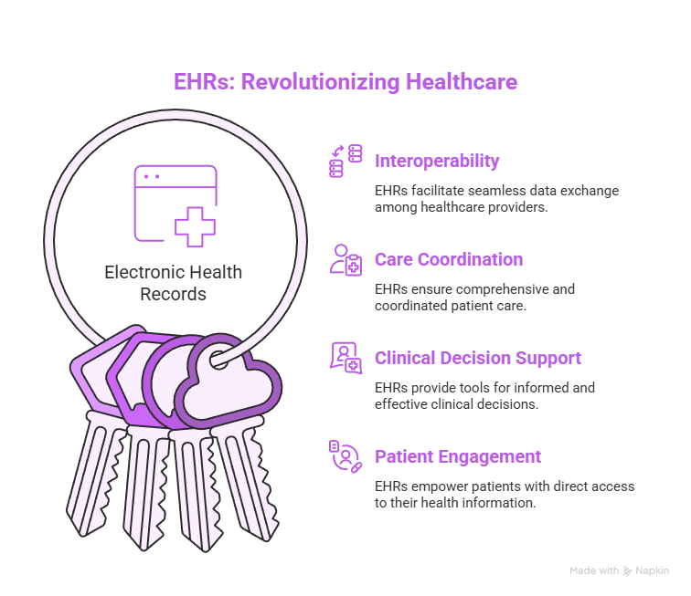 ehr and emr differences