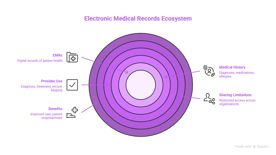 ehr and emr differences