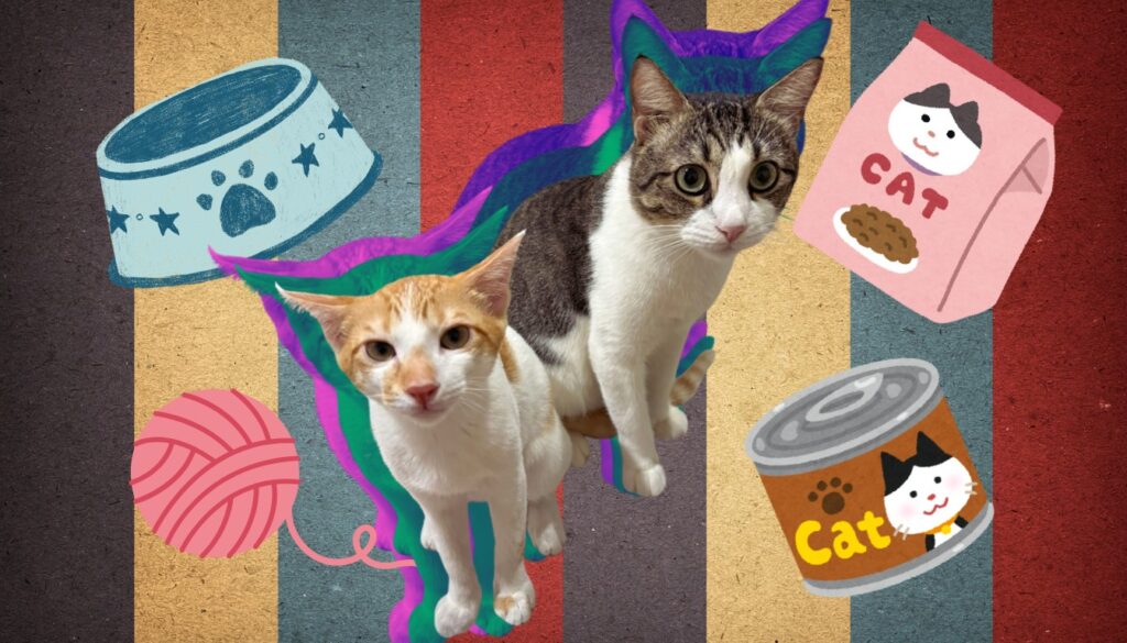 Less Paper, More Paws: Taming the Administrative Beast with a Veterinary Virtual Assistant 3 What a Veterinary Virtual Assistant do